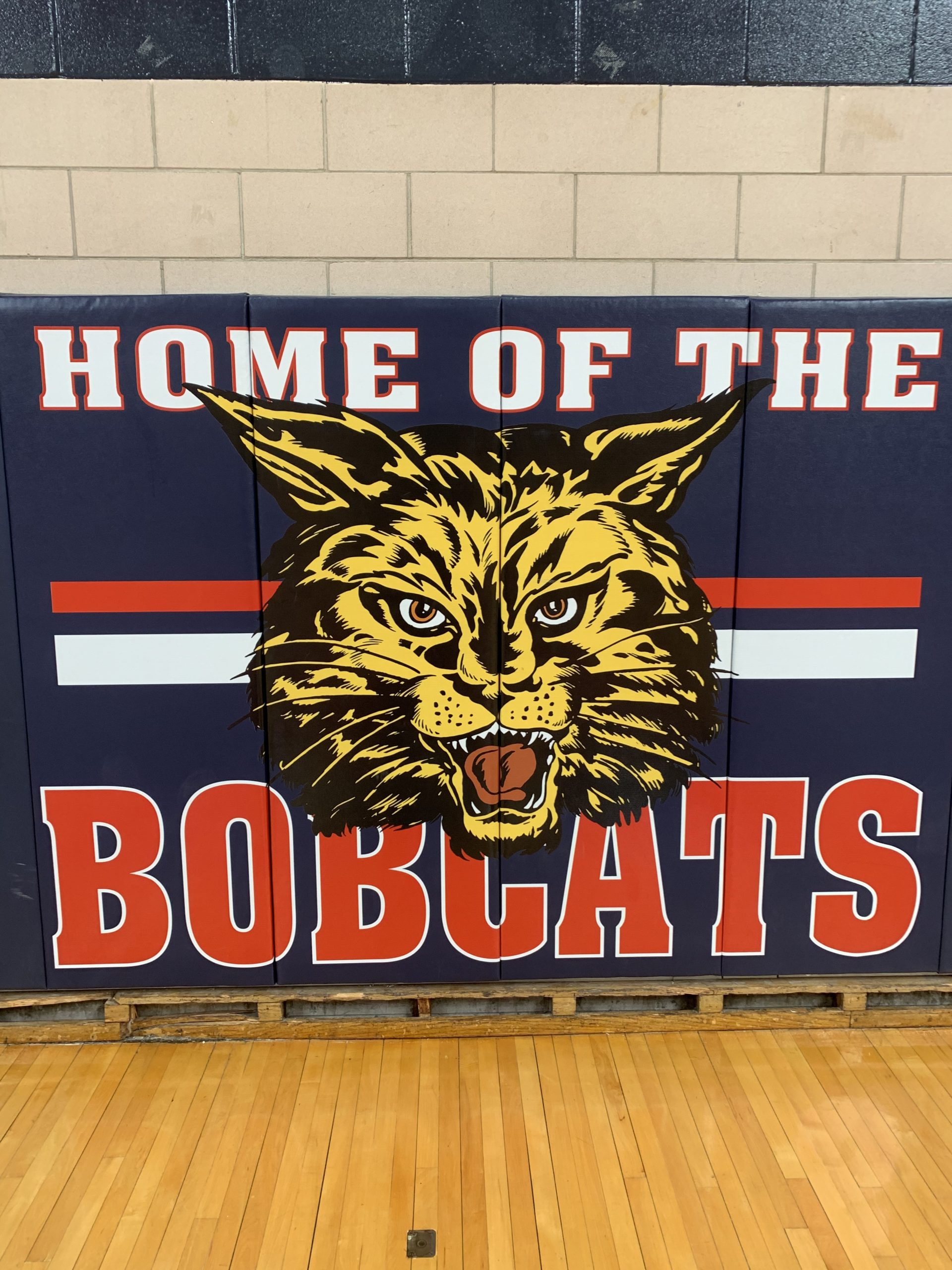 Home of the Tigers gym wall padding