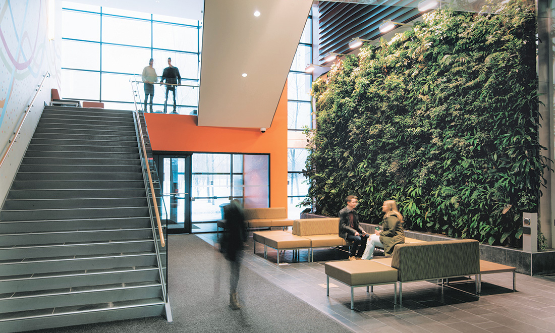 post-secondary-school-green-wall-indoor_1100x660